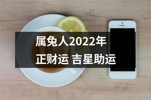 属兔人2025年正财运吉星助运