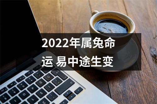 <h3>2025年属兔命运易中途生变