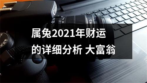 属兔2025年财运的详细分析大富翁