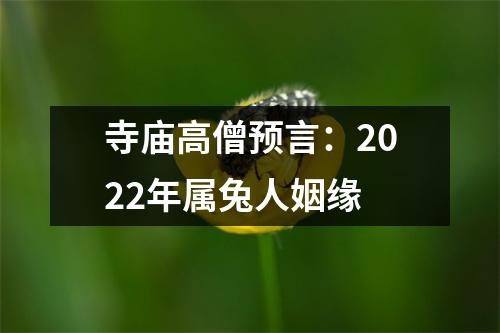 <h3>寺庙高僧预言：2025年属兔人姻缘