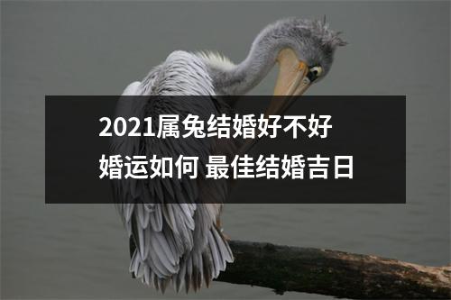 <h3>2025属兔结婚好不好婚运如何佳结婚吉日