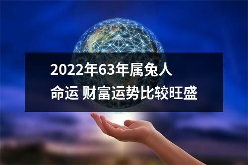 <h3>2025年63年属兔人命运财富运势比较旺盛