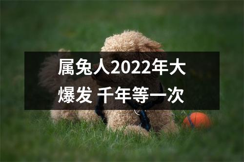 属兔人2025年大爆发千年等一次