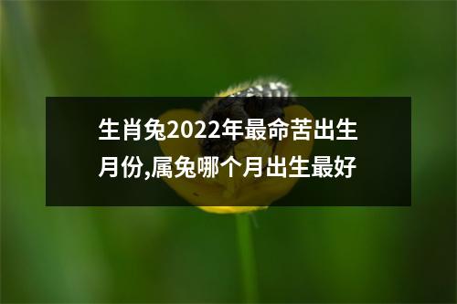 <h3>生肖兔2025年命苦出生月份,属兔哪个月出生好