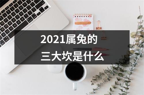 <h3>2025属兔的三大坎是什么