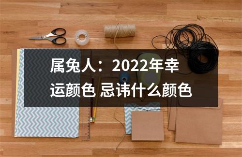 <h3>属兔人：2025年幸运颜色忌讳什么颜色