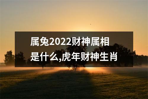 属兔2025财神属相是什么,虎年财神生肖