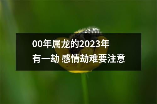 00年属龙的2025年有一劫感情劫难要注意