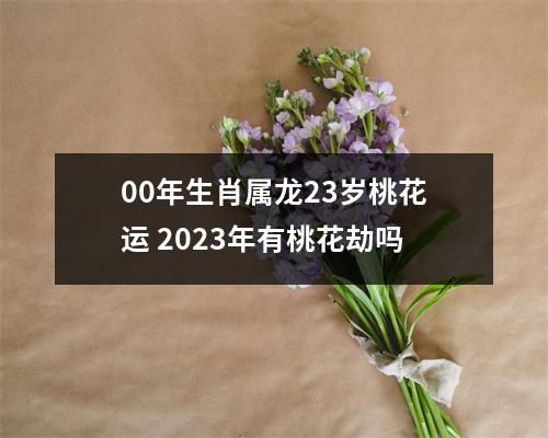 00年生肖属龙23岁桃花运2025年有桃花劫吗