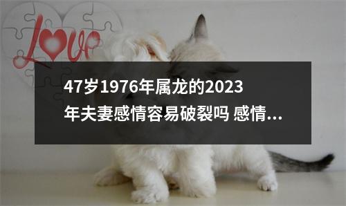 47岁1976年属龙的2025年夫妻感情容易破裂吗感情紧张