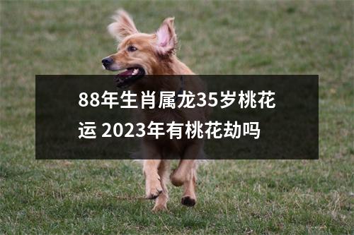 88年生肖属龙35岁桃花运2025年有桃花劫吗