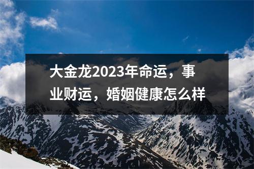 大金龙2025年命运，事业财运，婚姻健康怎么样