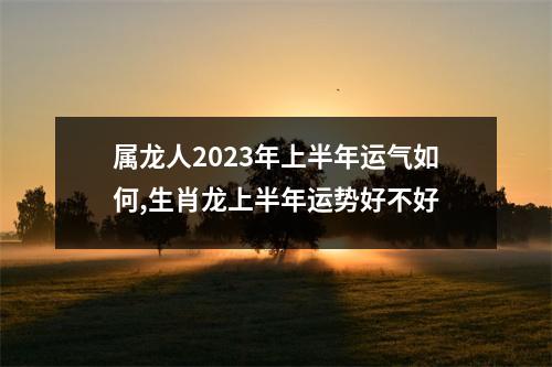 属龙人2025年上半年运气如何,生肖龙上半年运势好不好