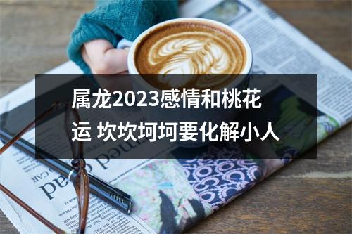 属龙2025感情和桃花运坎坎坷坷要化解小人