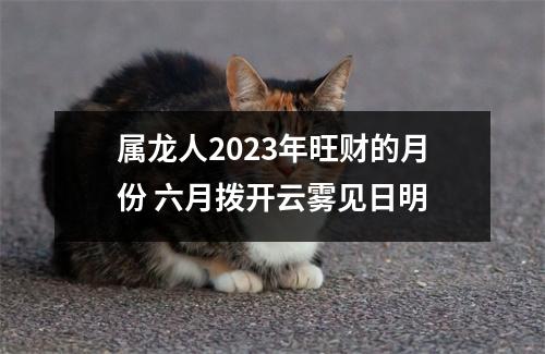 属龙人2025年旺财的月份六月拨开云雾见日明