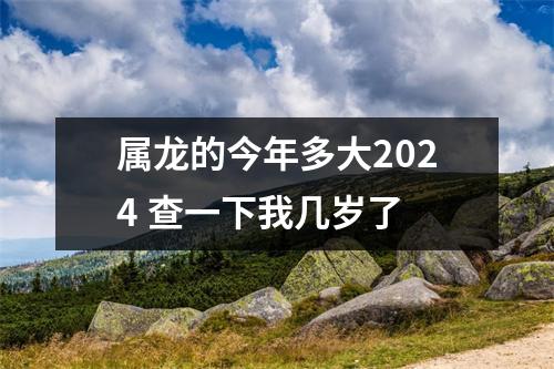 属龙的今年多大2024查一下我几岁了