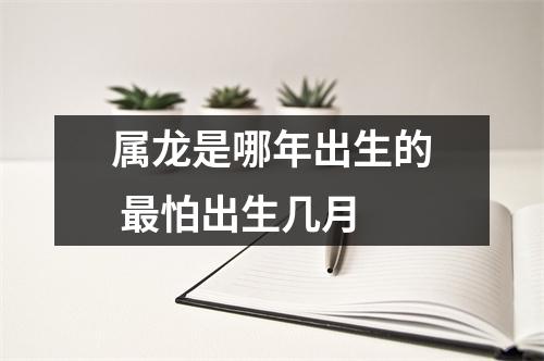 属龙是哪年出生的怕出生几月