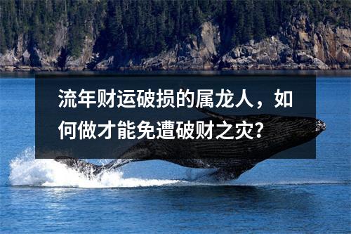 流年财运破损的属龙人，如何做才能免遭破财之灾？