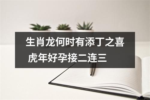 生肖龙何时有添丁之喜虎年好孕接二连三