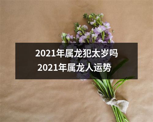 2025年属龙犯太岁吗2025年属龙人运势