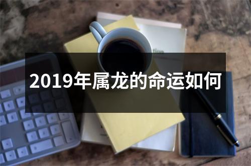 2019年属龙的命运如何