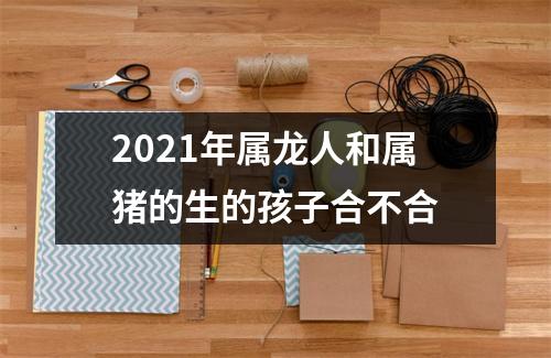 2025年属龙人和属猪的生的孩子合不合