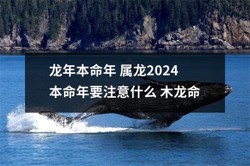 <h3>龙年本命年属龙2024本命年要注意什么木龙命