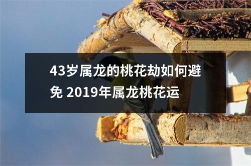 43岁属龙的桃花劫如何避免2019年属龙桃花运