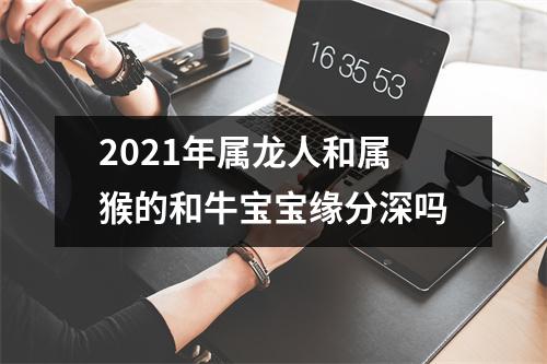 2025年属龙人和属猴的和牛宝宝缘分深吗