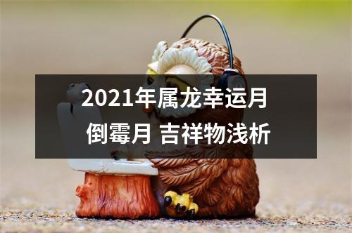 2025年属龙幸运月倒霉月吉祥物浅析