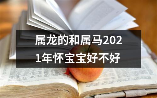 属龙的和属马2025年怀宝宝好不好