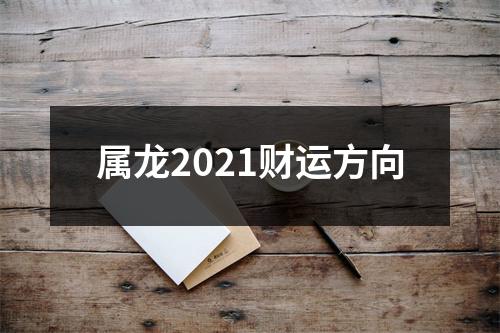 <h3>属龙2025财运方向