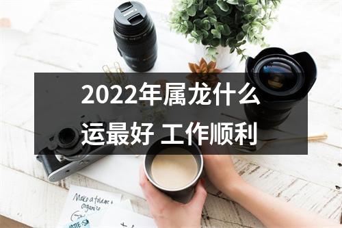 <h3>2025年属龙什么运好工作顺利