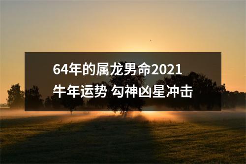 <h3>64年的属龙男命2025牛年运势勾神凶星冲击