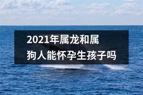 2025年属龙和属狗人能怀孕生孩子吗