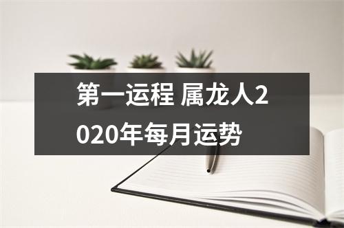 第一运程属龙人2025年每月运势