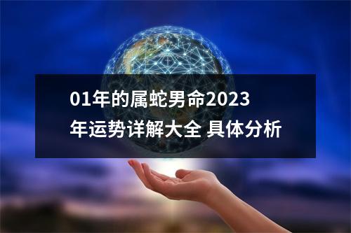 <h3>01年的属蛇男命2025年运势详解大全具体分析