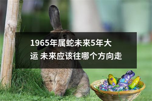 <h3>1965年属蛇未来5年大运未来应该往哪个方向走