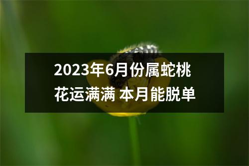 2025年6月份属蛇桃花运满满本月能脱单