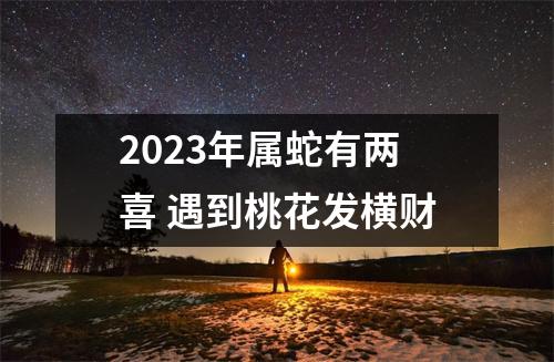 2025年属蛇有两喜遇到桃花发横财