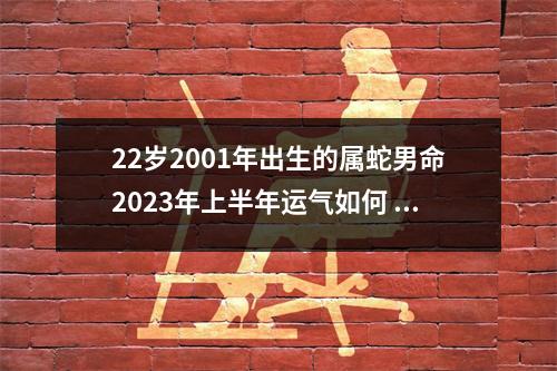 <h3>22岁2001年出生的属蛇男命2025年上半年运气如何运势详解