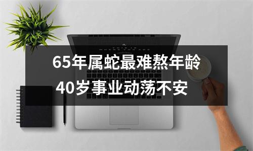 65年属蛇难熬年龄40岁事业动荡不安