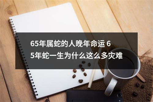 <h3>65年属蛇的人晚年命运65年蛇一生为什么这么多灾难