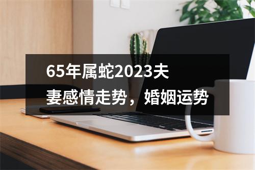 <h3>65年属蛇2025夫妻感情走势，婚姻运势