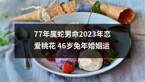 77年属蛇男命2025年恋爱桃花46岁兔年婚姻运