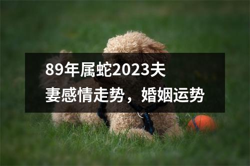 89年属蛇2025夫妻感情走势，婚姻运势