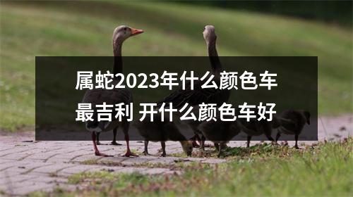 属蛇2025年什么颜色车吉利开什么颜色车好