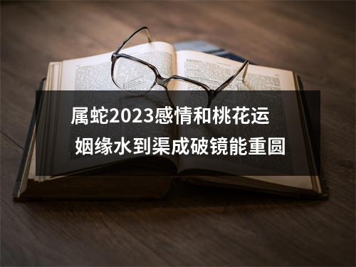 <h3>属蛇2025感情和桃花运姻缘水到渠成破镜能重圆