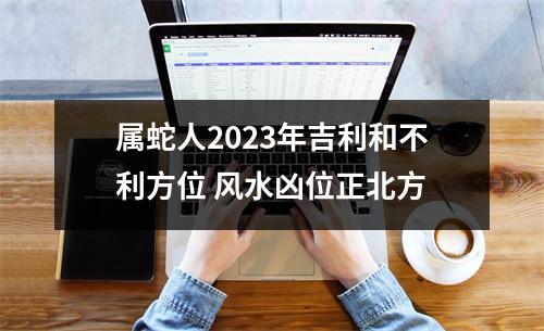 属蛇人2025年吉利和不利方位风水凶位正北方