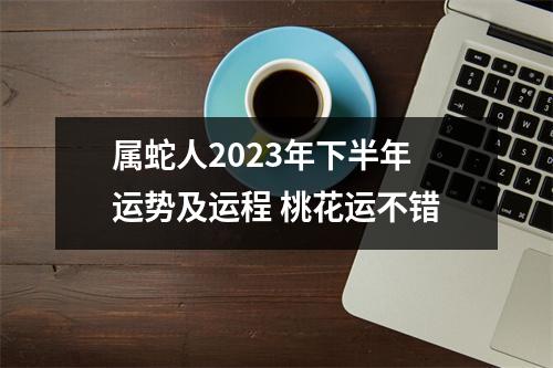 <h3>属蛇人2025年下半年运势及运程桃花运不错